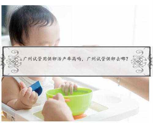 惠州代生男宝，广州代生孩子价格到底是多少，如何选择合适的助孕机构？